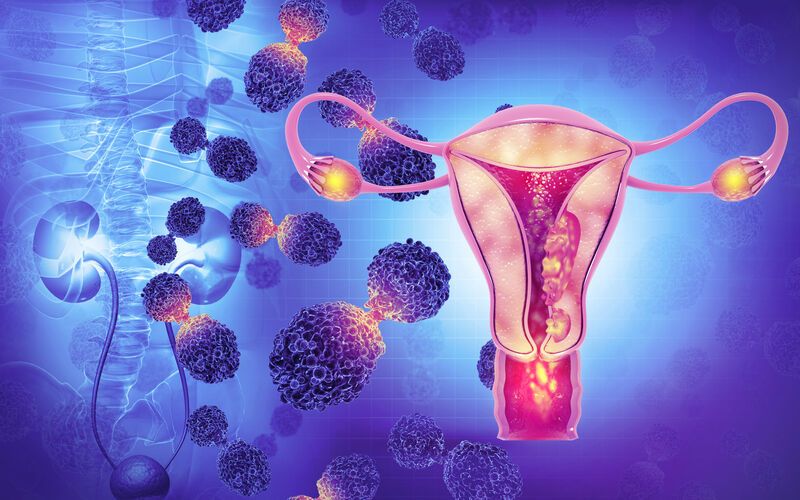 PCOS-এর নির্দিষ্ট কারণ এখনও পুরোপুরি স্পষ্ট নয়, তবে প্রধান নিয়ামকগুলো হলো