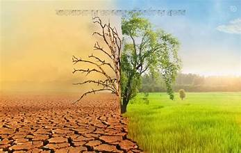 মানব স্বাস্থ্যে জলবায়ু পরিবর্তনের প্রভাব