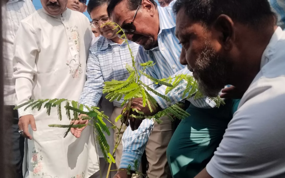 স্পিকারের বৃক্ষরোপণ কর্মসূচির উদ্বোধন