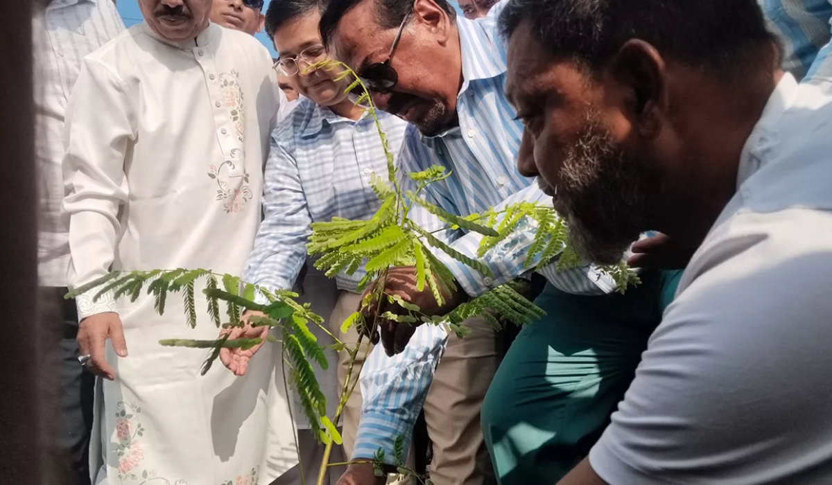স্পিকারের বৃক্ষরোপণ কর্মসূচির উদ্বোধন